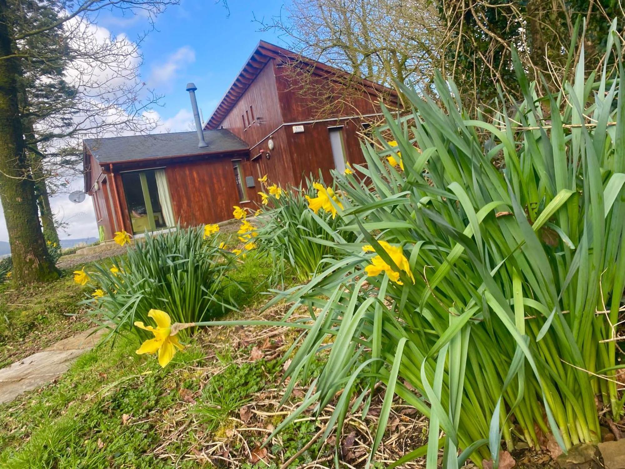 Ballyhoura Mountain Lodges Ballyorgan Екстер'єр фото