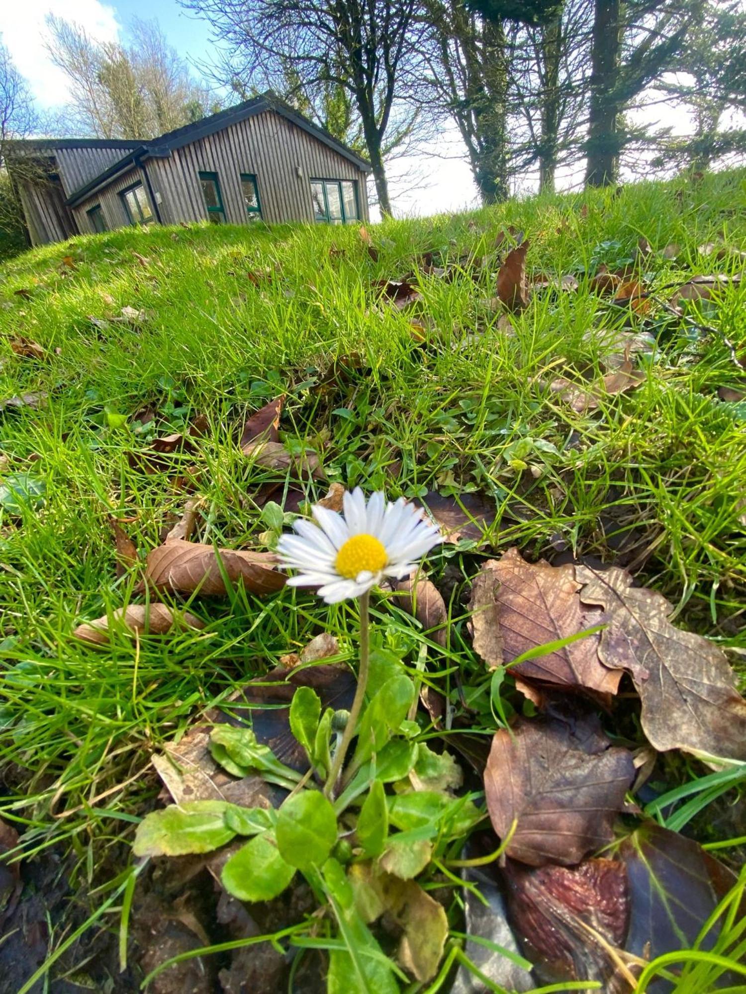 Ballyhoura Mountain Lodges Ballyorgan Екстер'єр фото